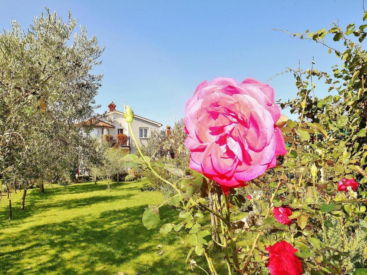 Apartments Durda Fažana Zewnętrze zdjęcie