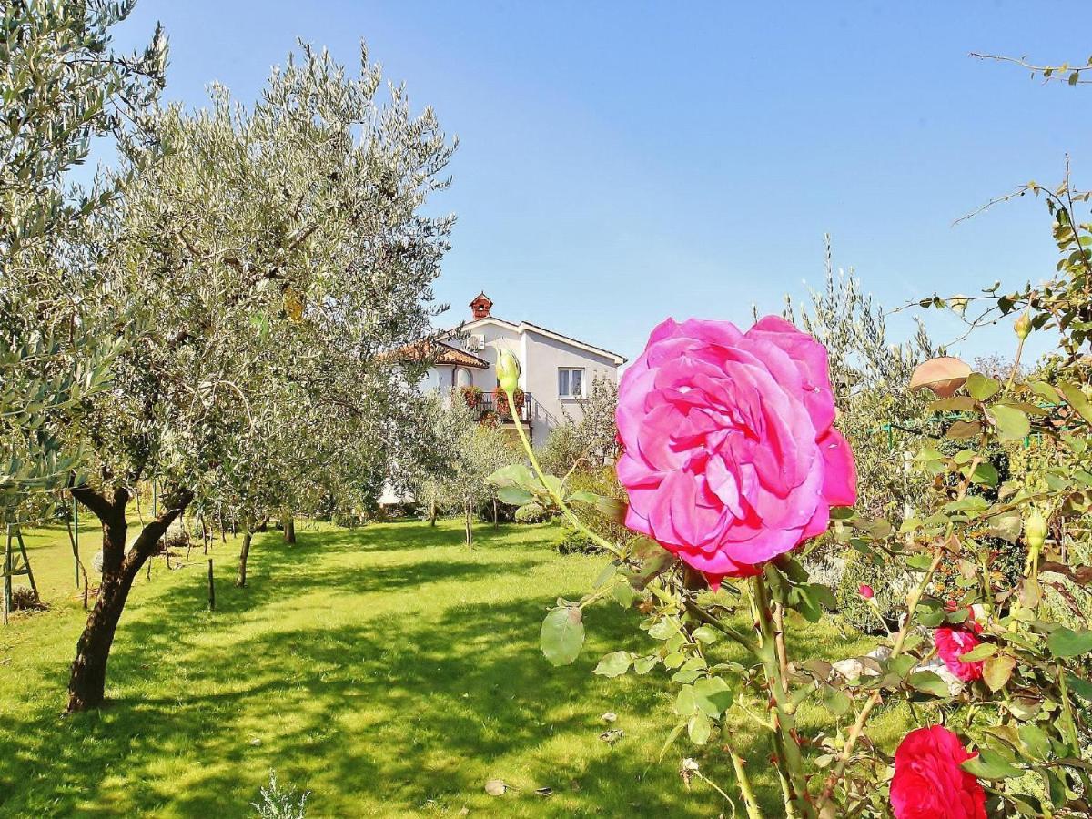 Apartments Durda Fažana Zewnętrze zdjęcie